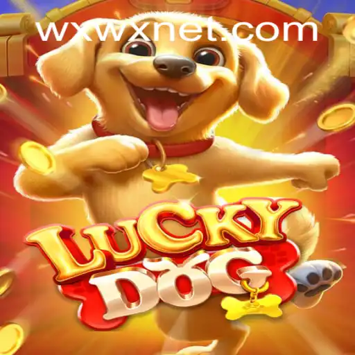 Exploring the World of LuckyDog: A Comprehensive Guide to Gameplay and Features
